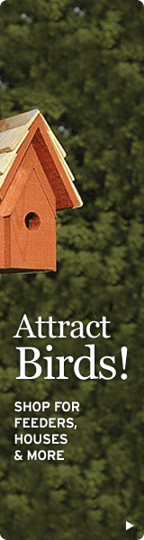 Shop NWF's online catalog for bird houses, bird feeders, and more